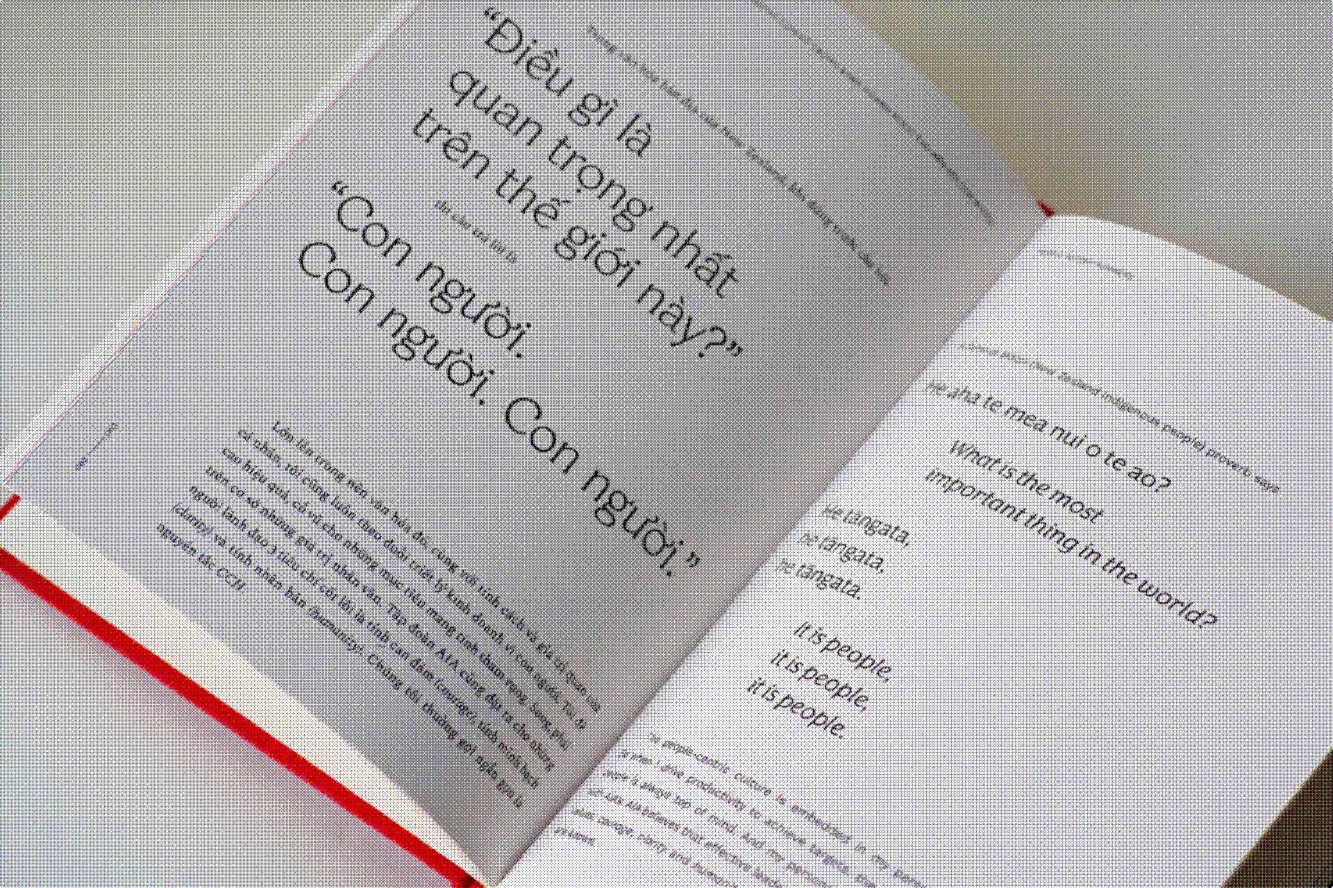 In the Land of Resilience book.