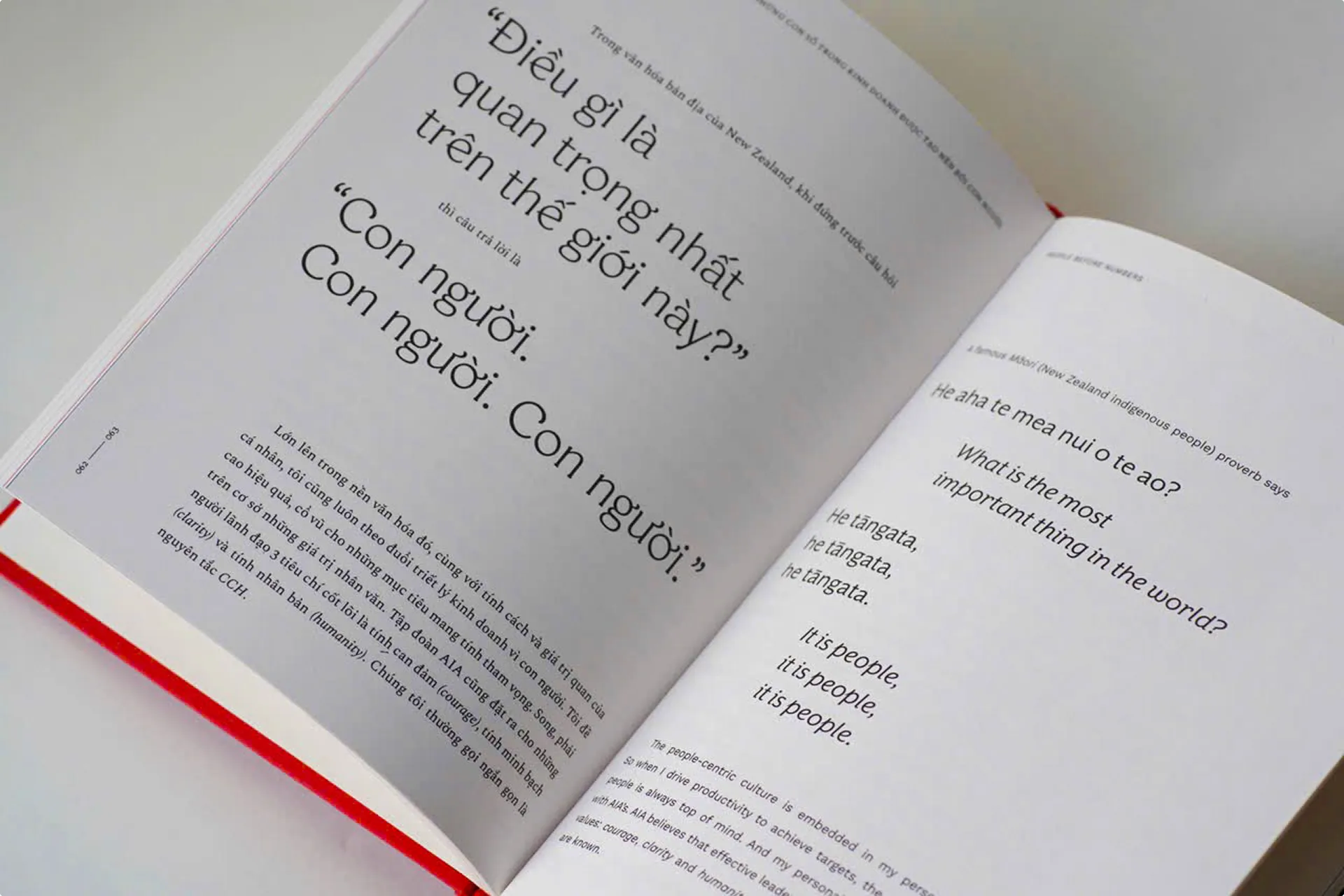 In the Land of Resilience book.