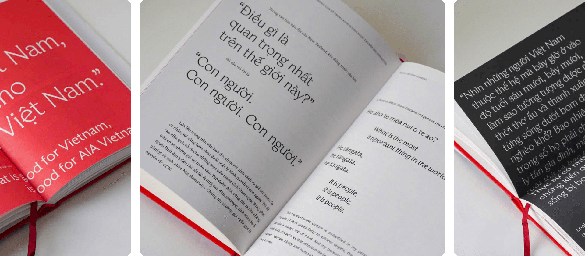 In the Land of Resilience